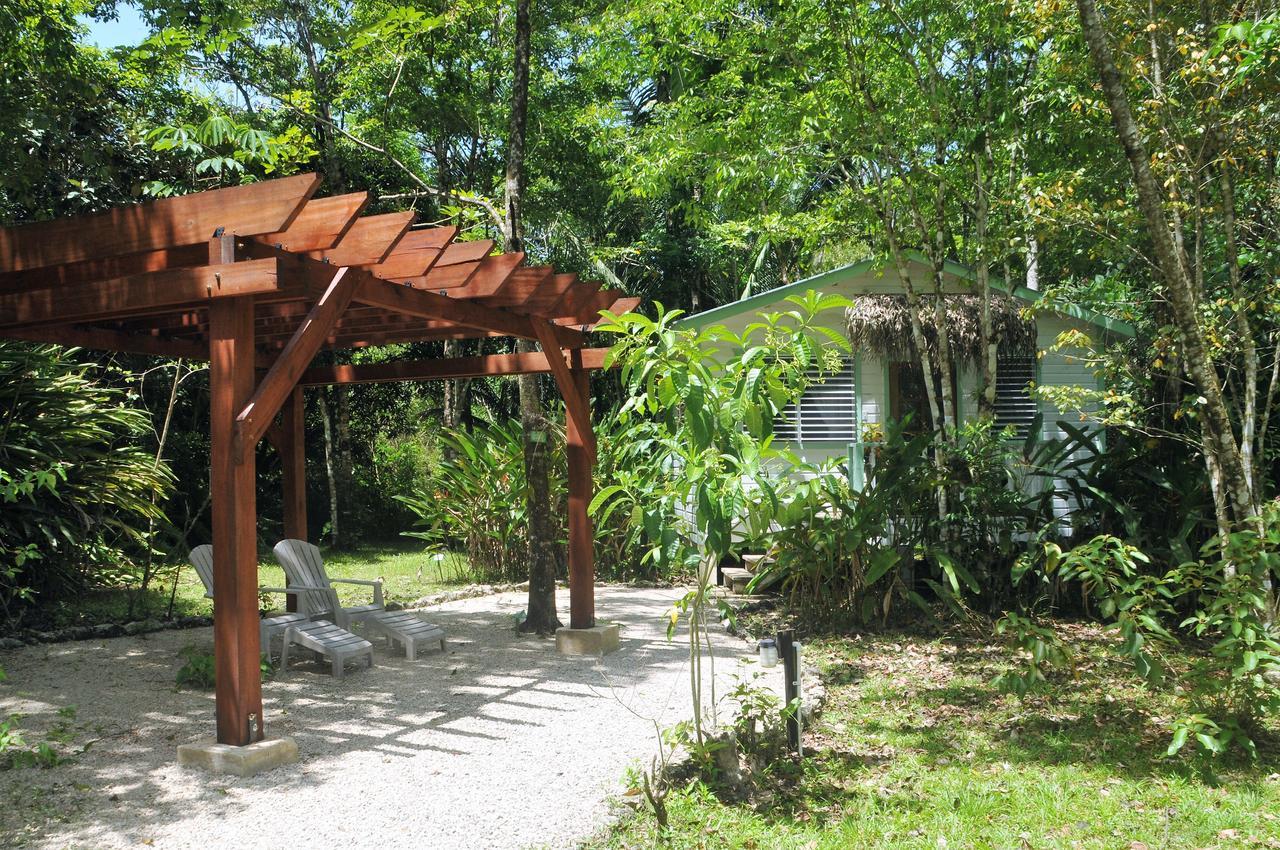 Hickatee Cottages, Belize, Central America Punta Gorda Eksteriør billede