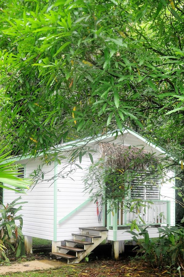 Hickatee Cottages, Belize, Central America Punta Gorda Eksteriør billede