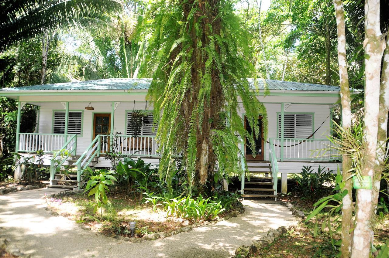 Hickatee Cottages, Belize, Central America Punta Gorda Eksteriør billede