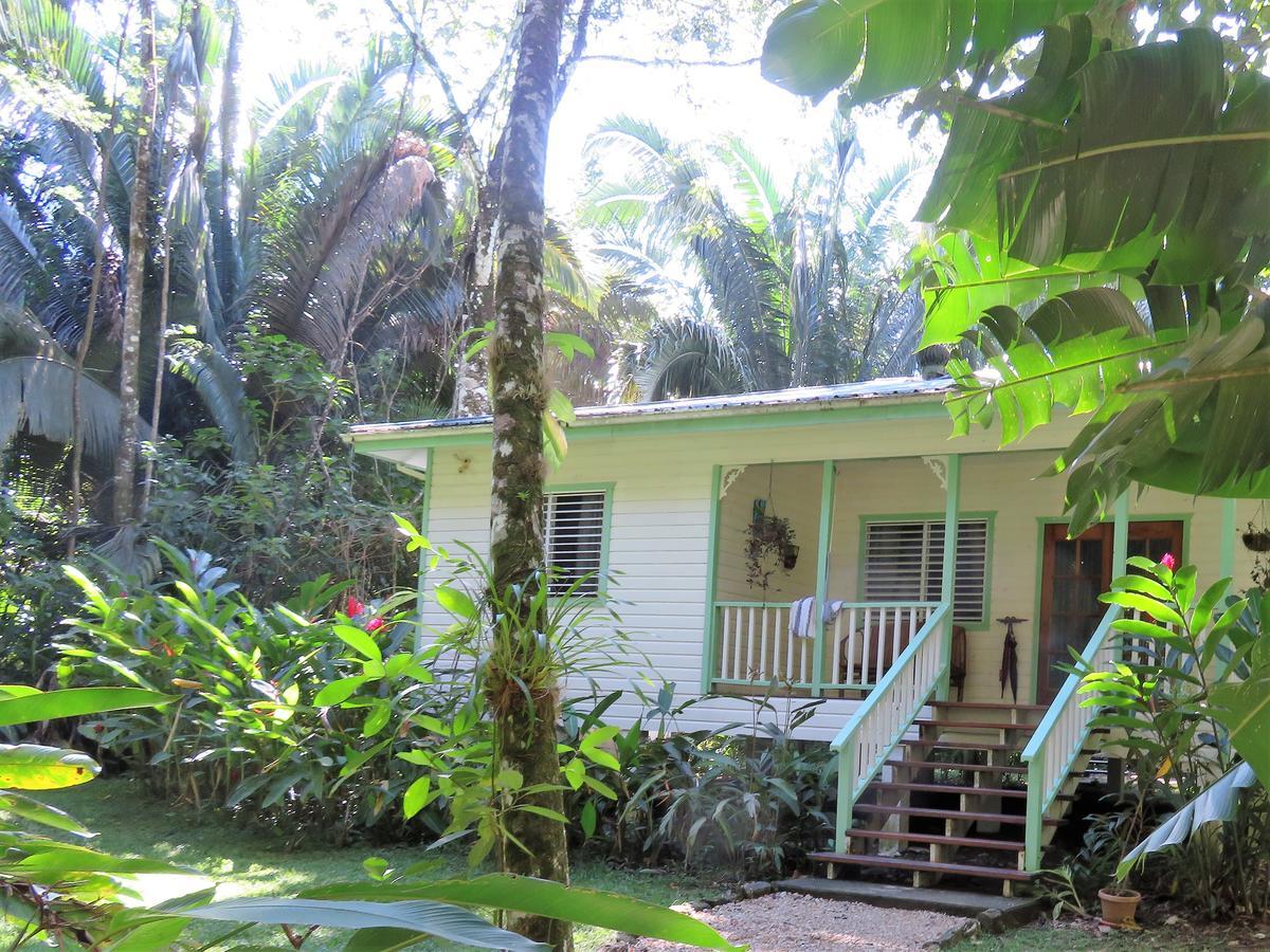 Hickatee Cottages, Belize, Central America Punta Gorda Eksteriør billede